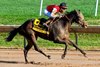 Regaled wins the Delaware Handicap at Delaware Park on 9/28/25