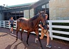Hip 2302, 2025 Keeneland September Yearling Sale