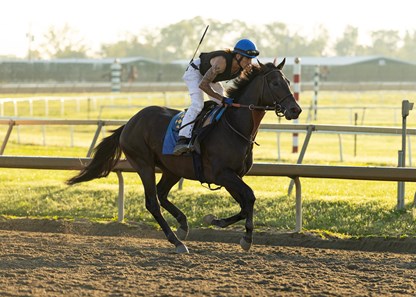 Emmanuel Rider Goal Oriented - Horse Profile - BloodHorse