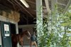 Scenics, 2025 Keeneland September Yearling Sale