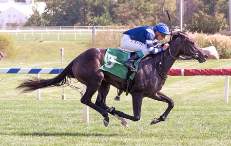 Screen Test breaks her maiden at Laurel Park