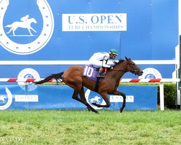 Cheetah Lady - Horse Profile - BloodHorse
