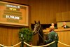 Hip 211 colt by Not This Time out of Wembley at Taylor Made
Keeneland September Yearling Sale at Keeneland in Lexington, Ky., on Sept. 9, 2025.