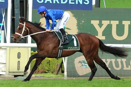 Beiwacht wins the 2025 Golden Rose Stakes at Rosehill Gardens Racecourse