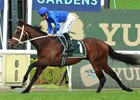 Beiwacht wins the Golden Rose Stakes on Saturday, September 27, 2025 at Rosehill Gardens Racecourse