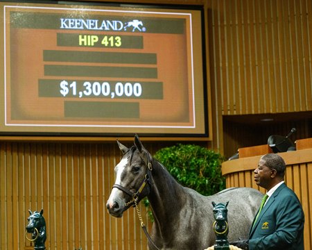Hip 413, a colt by Tapit and half brother to grade 1 winner Drain the Clock, sells for $1.3 million at Keeneland September