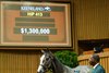 Hip 413 colt by Tapit out of Manki at Gainesway, agent
Keeneland September Yearling Sale at Keeneland in Lexington, Ky., on Sept. 9, 2025.