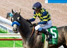 Natalie 'Jill' Baffert's Bottle of Rouge and hall of fame jockey Mike Smith  beat favored stablemate Explora (Juan Hernandez up) in the Grade I $300,000 Del Mar Debutante Saturday, September 6, 2025, at Del Mar Thoroughbred Club, Del Mar, CA.  Both fillies are trained by Baffert's husband, Bob Baffert.
Benoit Photo