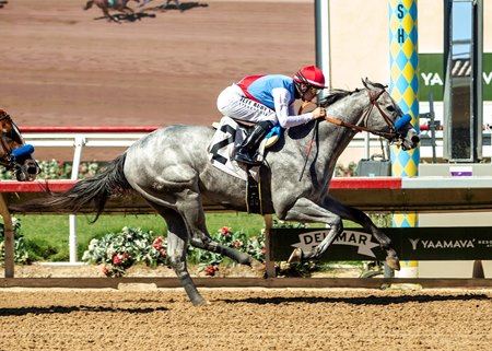 Brant, a 2025 March Sale graduate, wins the Del Mar Futurity at Del Mar