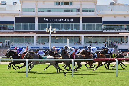 Racing at Gulfstream Park