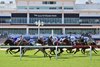 Gulfstream Park, Turf, grandstand, September 27 2025