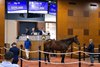 2025 Fasig-Tipton Midlantic Fall Yearlings Sale, Hip 18
