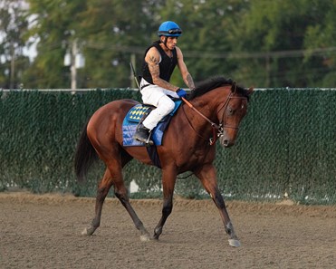Emmanuel Rider Barnes - Horse Profile - BloodHorse