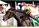 Wimbledon Hawkeye (GB) wins 2025 Nashville Derby Invitational Stakes at Kentucky Downs