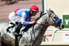 Zedan Racing Stables’ Brant and jockey Flavien Prat win the Grade I, $300,000 Del Mar Futurity, Sunday  September 7, 2025 at Del Mar Thoroughbred Club, Del Mar, CA.  The two-year-old son of Gun Runner gave trainer Bob Baffert his 19th win in the race.
Benoit Photo