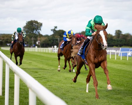 Benvenuto Cellini wins the Juvenile Stakes at Leopardstown Racecourse