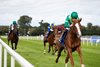 Benvenuto Cellini and Christophe Soumillon winners of the Gr.2 KPMG Champions Juvenile Stakes.
Irish Champions Weekend.
Leopardstown.
Photo: Patrick McCann/Racing Post
13.09.2028