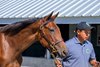 Hip 499 filly by Not This Time out of Silent Candy at Hunter Valley, agent, 2025 Keeneland September Yearling Sale
