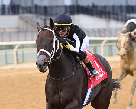 R Disaster wins the 2025 Gallant Bloom Stakes at Aqueduct Racetrack
