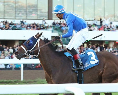 Frosty View, named Horse of the Meet, wins the Blair's Cove Minnesota Turf Championship Stakes at Canterbury Park