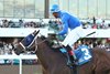 Frosty View wins the 2025 Blair&#39;s Cove Minnesota Turf Championship Stakes at Canterbury Park