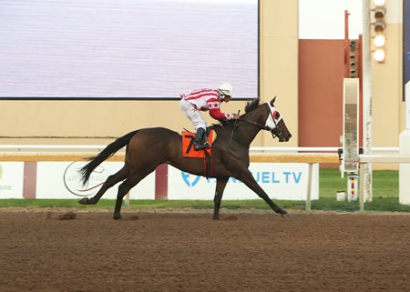 Hard Gold would be the lone starter in a walkover victory Sept. 4 in a claiming race at Remington Park 