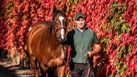 2025 Tattersalls Ireland September Yearling Sale Part 2, Lot 607