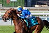 Jockey Rafael Hernandez guides Tom&#39;s Magic to victory in the 135th running of the $400,000 Breeders&#39; Stakes over the bet365 Inner Turf Course.Tom&#39;s Magic is owned by CJ Thoroughbreds and Mo Speed Racing and trained by Michael Stidham. Woodbine/ Michael Burns Photo