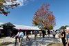 Scenics, 2025 Keeneland September Yearling Sale