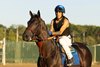 Pennsylvania Derby contender Goal Oriented with exercise rider Emmanuel Rivera on the track at Parx Racing in Bensalem, PA on Friday morning September 19, 2025.  Photo By Taylor Ejdys/EQUI-PHOTO.