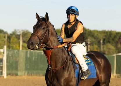 Emmanuel Rider Goal Oriented - Horse Profile - BloodHorse