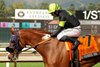 Irish-bred Gold Phoenix and jockey Umberto Rispoli win the Grade II, $200,000 John Henry Championship Saturday, September 27, 2025 at Santa Anita Park, Arcadia, CA.  
Benoit Photo