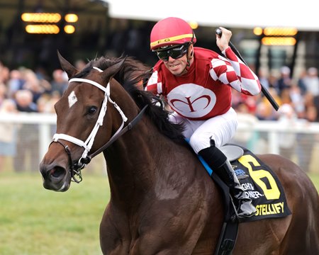 Stellify wins the 2025 Ladies Marathon Invitational Stakes at Kentucky Downs