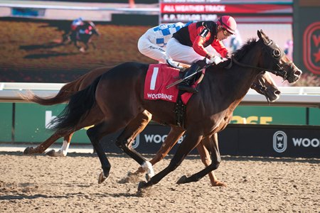 Cool Kiss wins the Durham Cup Stakes at Woodbine