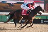 Jockey Sahin Civaci guides Cool Kiss to victory in the Grade III $150,000 Guaranteed Durham Cup for owners Stephen Chesney and Cory Hoffman and trainer Martin Drexler. Woodbine/Michael Burns Photo
