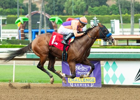 Provenance breaks his maiden at Santa Anita Park