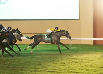 Exaping Excaping the Blues - Horse Profile - BloodHorse