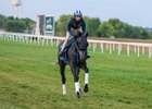 Shisospicy training September 2, 2025 with exercise rider Neftaly Perez at Kentucky Downs