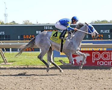 Sweper Racing Line Star Sweeper - Horse Profile - BloodHorse