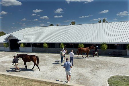 After buyer interest remained strong through the first six sessions of Keeneland September, sale officials are optimistic about the second half of the auction