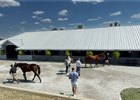 Scenics, 2025 Keeneland September Yearling Sale