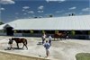 Scenics, 2025 Keeneland September Yearling Sale