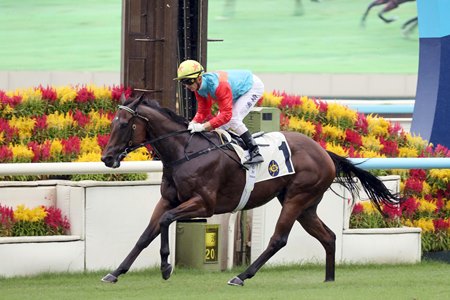 Ka Ying Rising wins the 2025 Chief Executive’s Cup Handicap at Sha Tin Racecourse