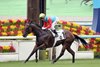 Zac Purton eases down champion sprinter Ka Ying Rising