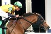 Gal in a Rush wins the 2025 Presque Isle Downs Masters Stakes at Presque Isle Downs
