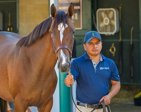 The War Front filly consigned as Hip 1843 at the Keeneland September Sale