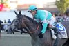 Clicquot ridden by Jockey Irad Ortiz, Jr. won the $1,000,000 Grade 1 Cotillion Stakes at Parx Racing in Bensalem, Pennsylvania on September 20, 2025. Photo By Ryan Denver /EQUI-PHOTO