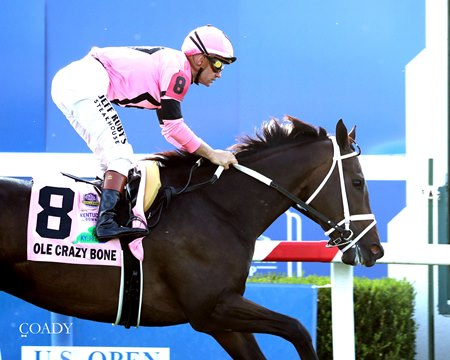 Ole Crazy Bone makes sense as a pick for this year's Kentucky Turf Cup as he won the race a year ago