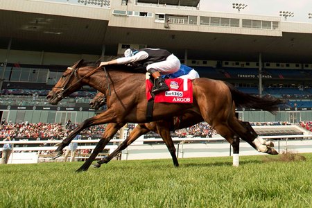 Argos wins the Summer Stakes at Woodbine