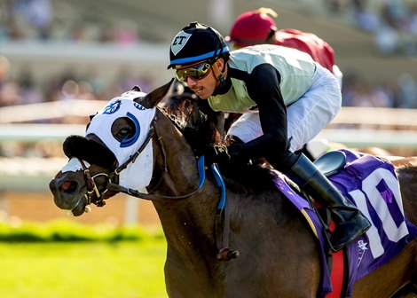 Dreaming of Alys Faces Familiar Foes in Surfer Girl